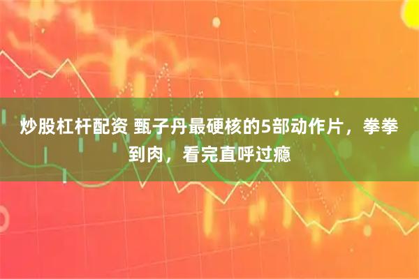 炒股杠杆配资 甄子丹最硬核的5部动作片，拳拳到肉，看完直呼过瘾