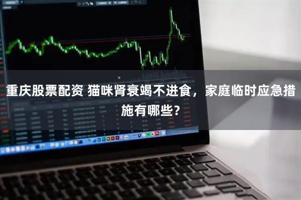 重庆股票配资 猫咪肾衰竭不进食，家庭临时应急措施有哪些？