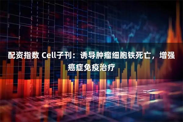 配资指数 Cell子刊：诱导肿瘤细胞铁死亡，增强癌症免疫治疗